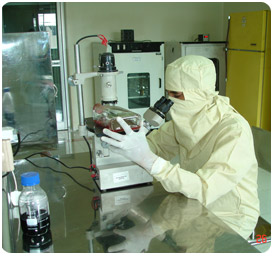 Research and Development at Bio-Med